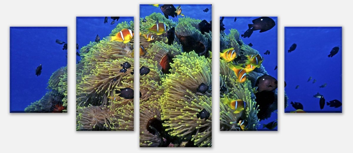 Leinwandbild Mehrteiler Unterwasserriff M0017 entdecken - Bild 1 Leinwandbild Mehrteiler Unterwasserriff M0017 entdecken - Bild 1