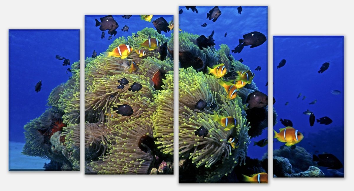Leinwandbild Mehrteiler Unterwasserriff M0017 Leinwandbild Mehrteiler Unterwasserriff M0017