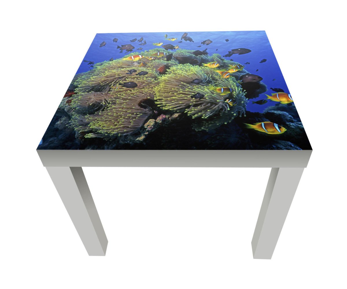 Beistelltisch Unterwasserriff M0017 entdecken - Bild 1 Beistelltisch Unterwasserriff M0017 entdecken - Bild 1