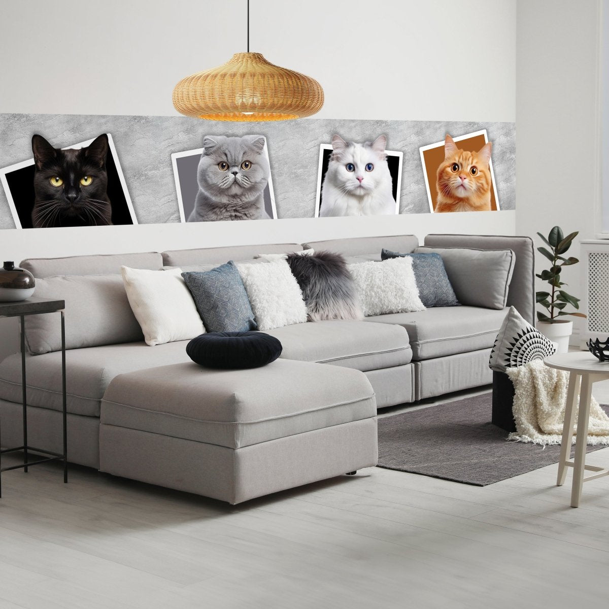 Panorama-Fototapete Katzen Collage M0034 - Bild 1 Panorama-Fototapete Katzen Collage M0034 - Bild 1