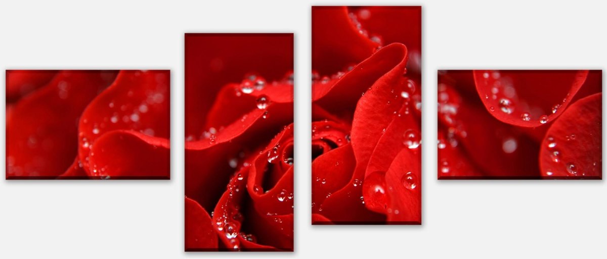 Leinwandbild Mehrteiler Rosenblüte M0038 Leinwandbild Mehrteiler Rosenblüte M0038