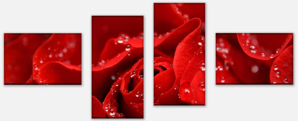 Leinwandbild Mehrteiler Rosenblüte M0038 Leinwandbild Mehrteiler Rosenblüte M0038