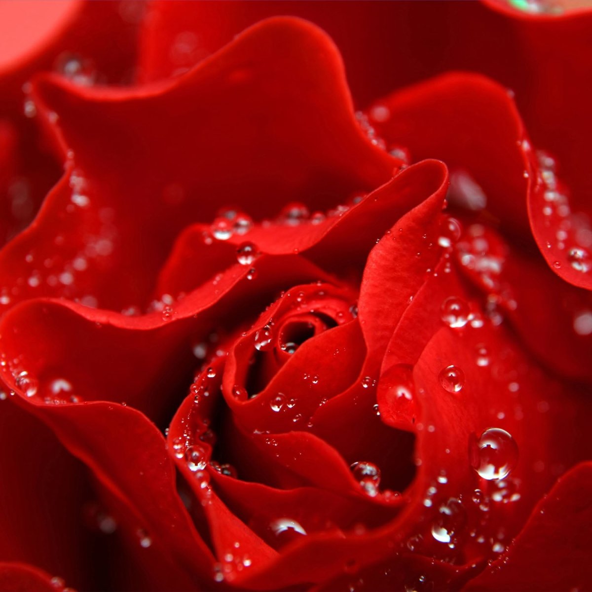 Beistelltisch Rosenblüte M0038 entdecken - Bild 2 Beistelltisch Rosenblüte M0038 entdecken - Bild 2