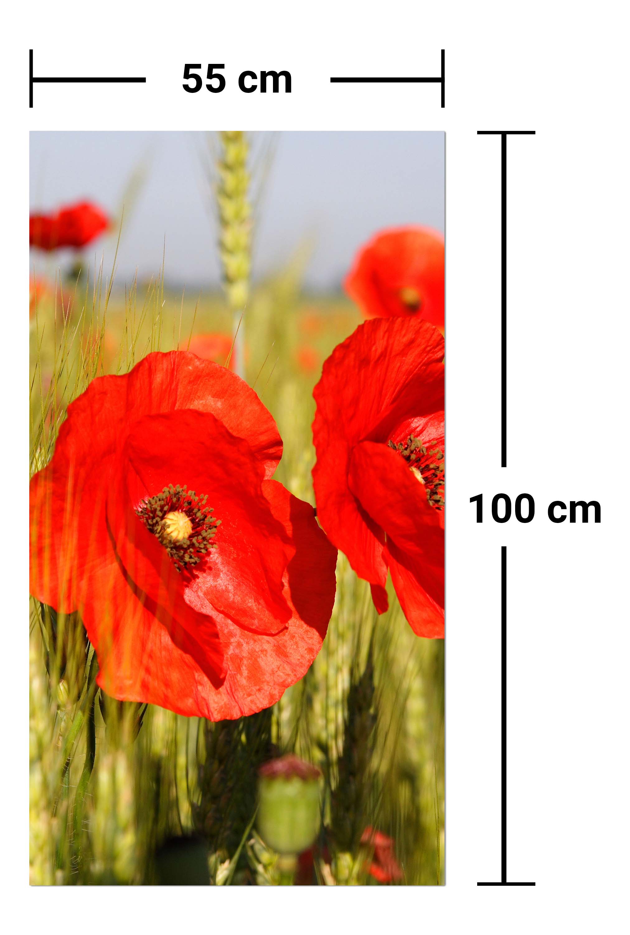 Garderobe Mohnblumen M0041 entdecken - Bild 7 Garderobe Mohnblumen M0041 entdecken - Bild 7