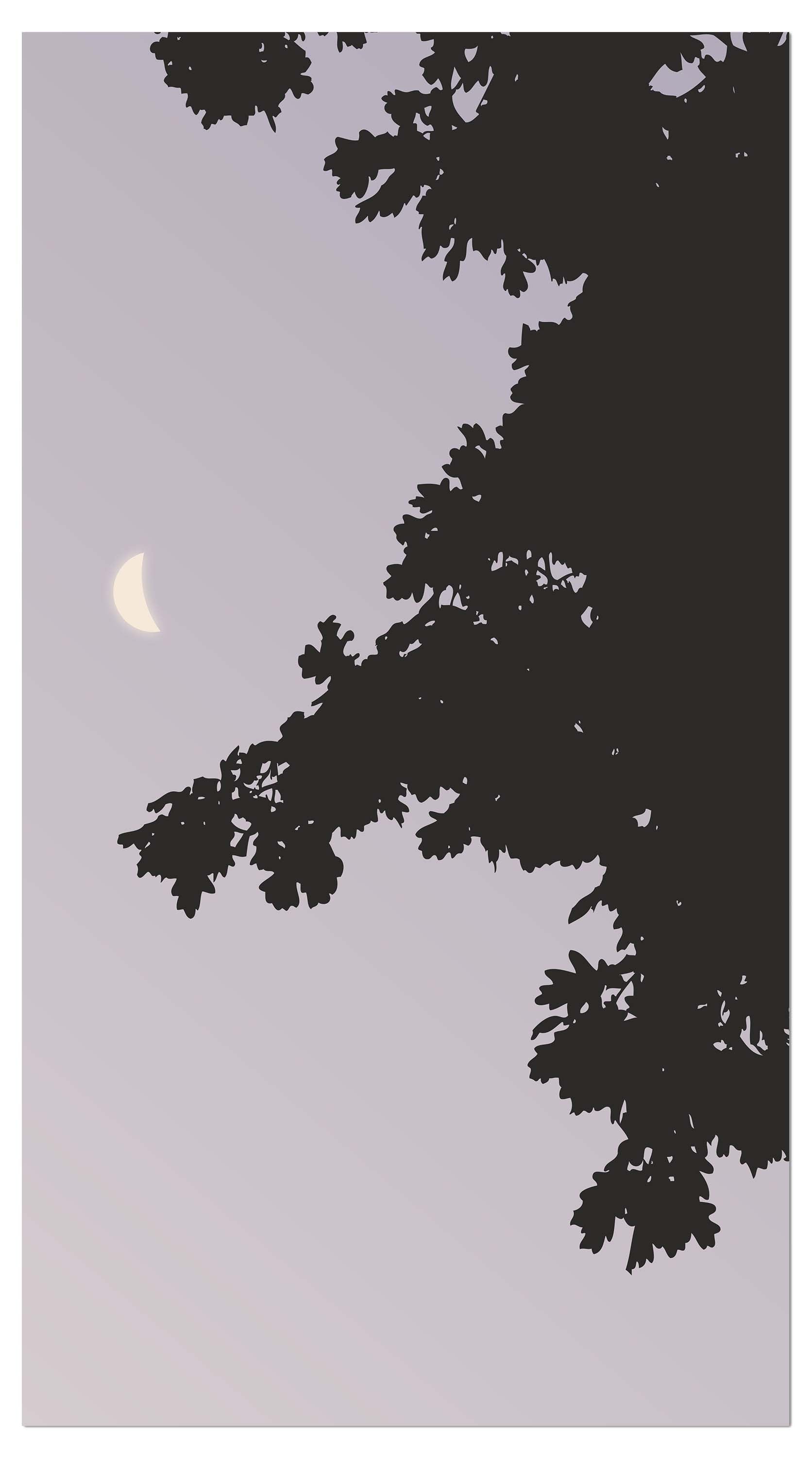 Garderobe Schatten der Nacht M0043 entdecken - Bild 4 Garderobe Schatten der Nacht M0043 entdecken - Bild 4