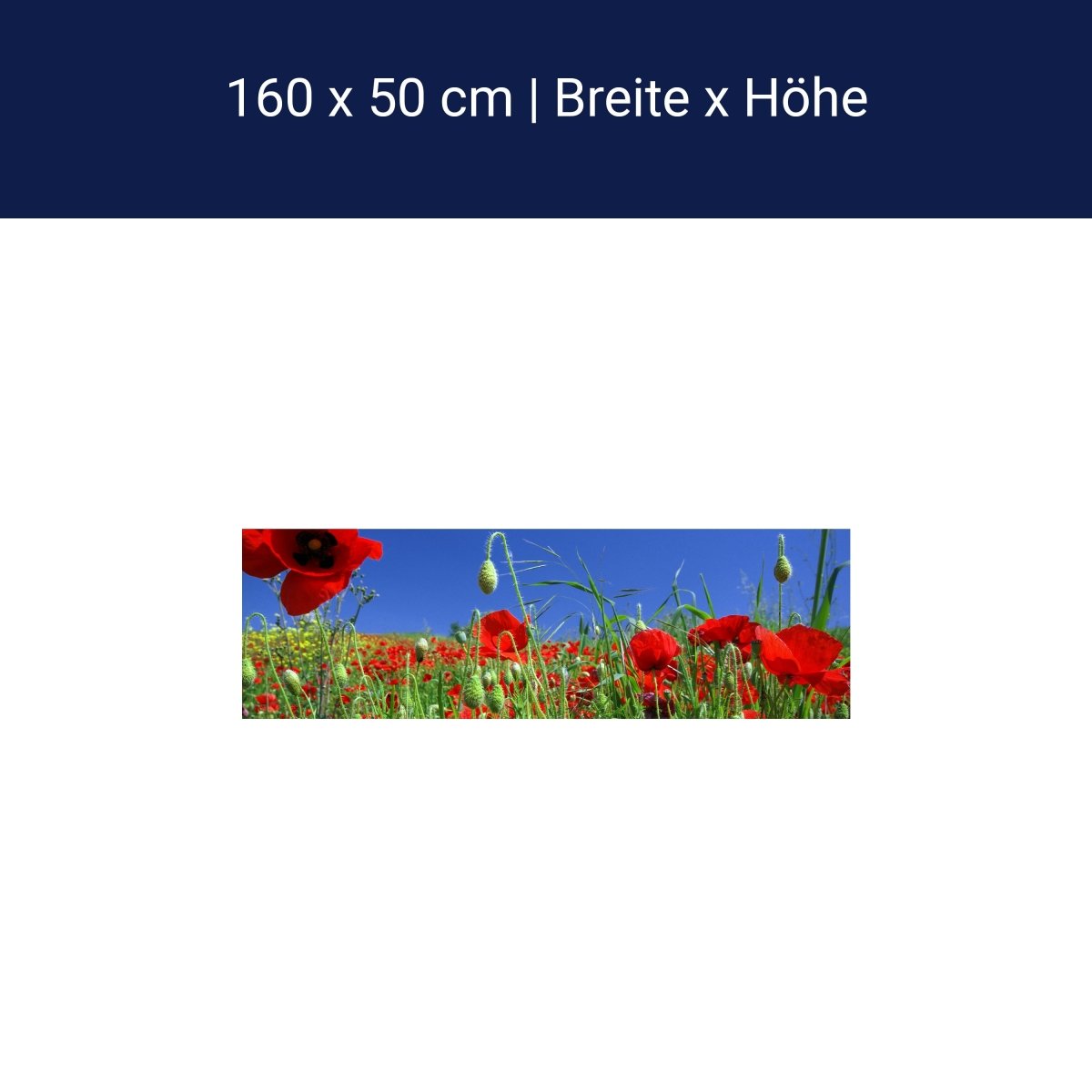 Küchenrückwand Mohnblumenfeld M0046 Küchenrückwand Mohnblumenfeld M0046
