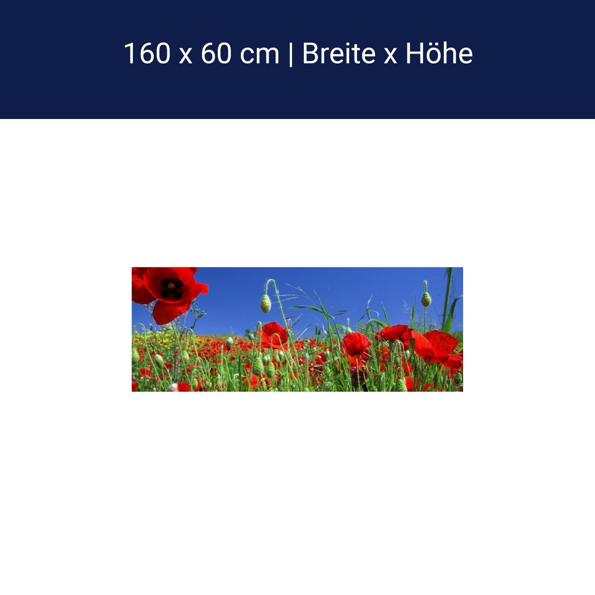 Küchenrückwand Mohnblumenfeld M0046 Küchenrückwand Mohnblumenfeld M0046