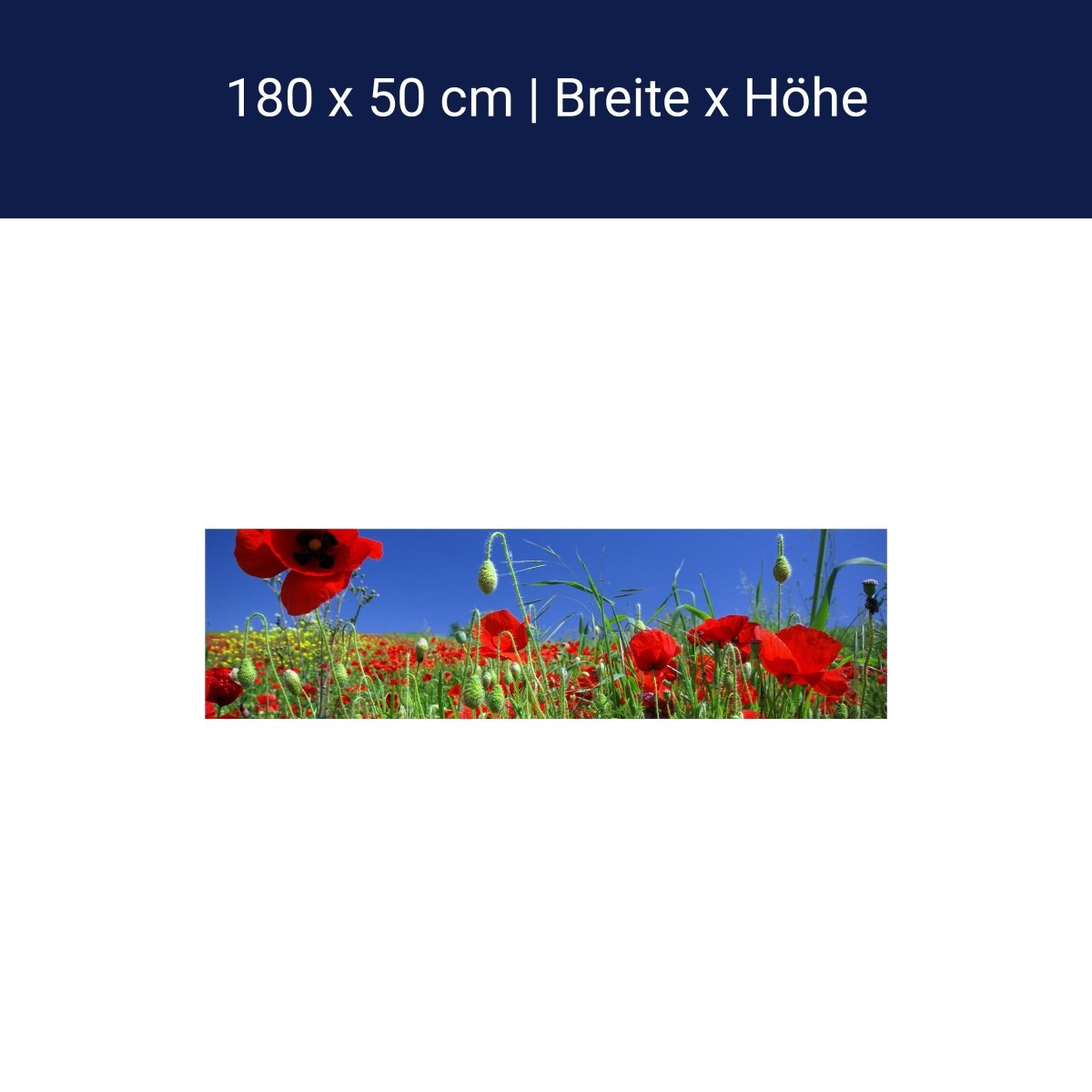 Küchenrückwand Mohnblumenfeld M0046 Küchenrückwand Mohnblumenfeld M0046
