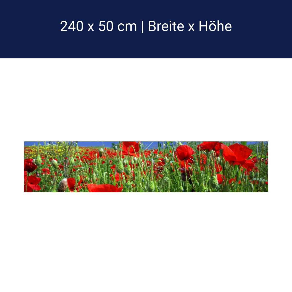 Küchenrückwand Mohnblumenfeld M0046 Küchenrückwand Mohnblumenfeld M0046