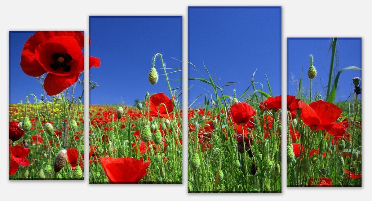 Leinwandbild Mehrteiler Mohnblumenfeld M0046 Leinwandbild Mehrteiler Mohnblumenfeld M0046