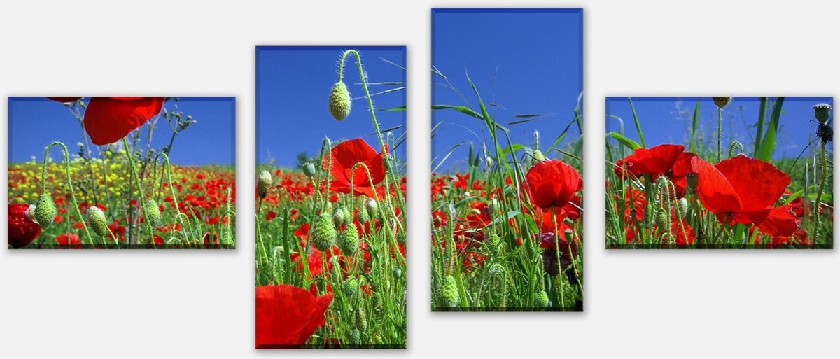 Leinwandbild Mehrteiler Mohnblumenfeld M0046 Leinwandbild Mehrteiler Mohnblumenfeld M0046
