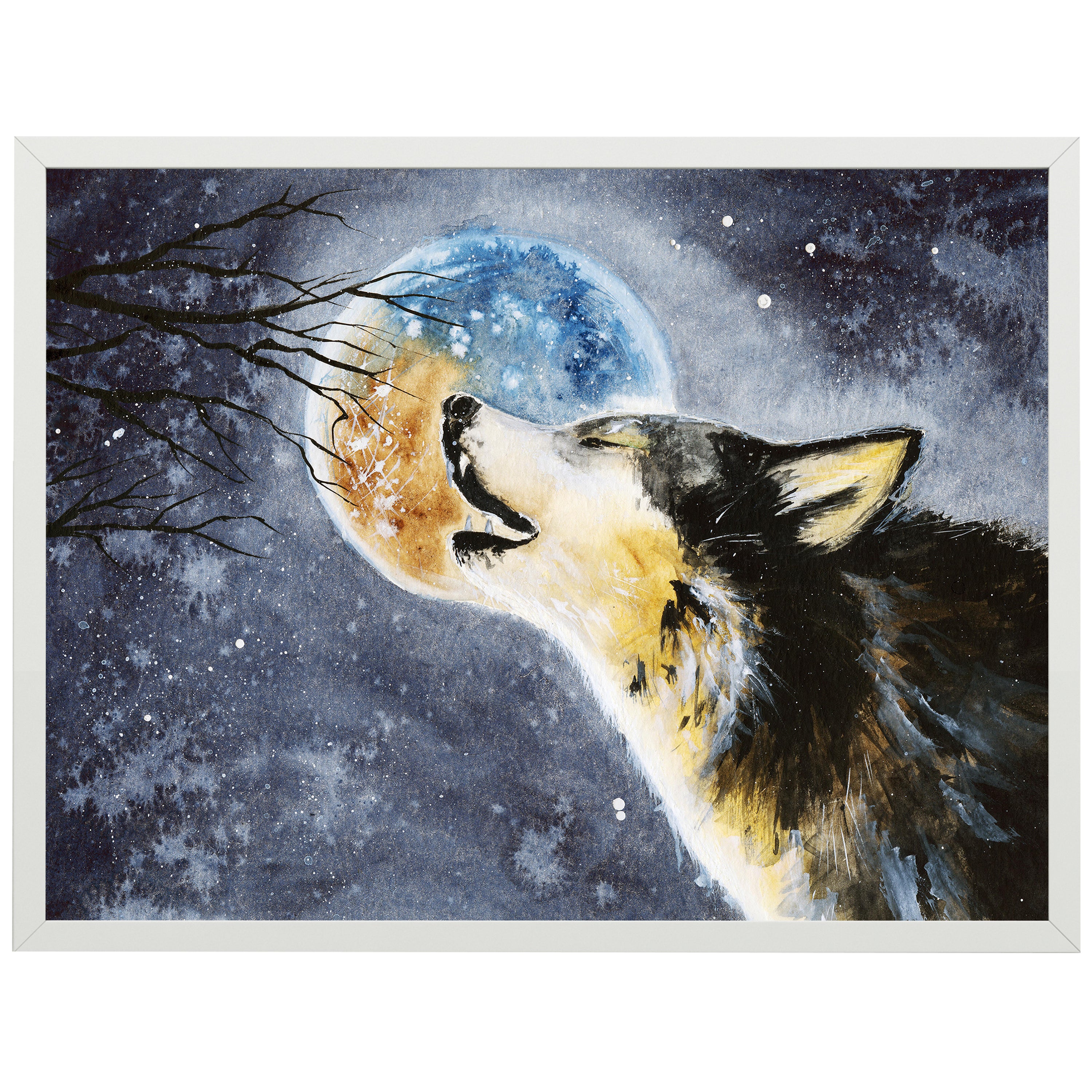 wandmotiv24 Poster, Poster - Tiere - M0081 - Bild 1 wandmotiv24 Poster, Poster - Tiere - M0081 - Bild 1