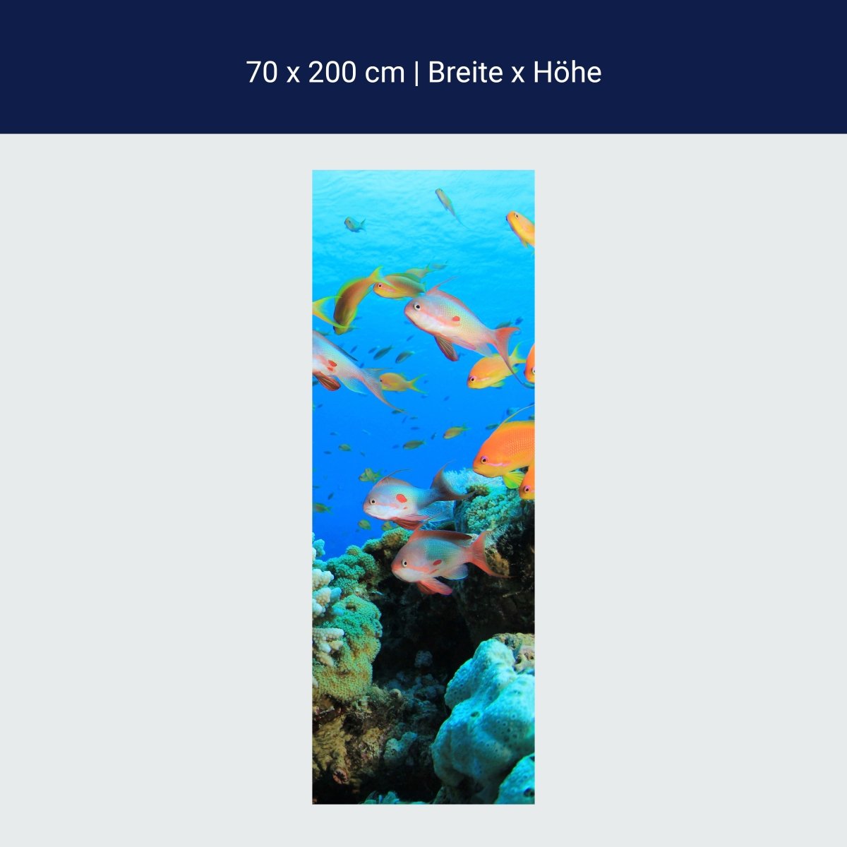 Duschwand Riffleben Unterwasser M0196 Duschwand Riffleben Unterwasser M0196