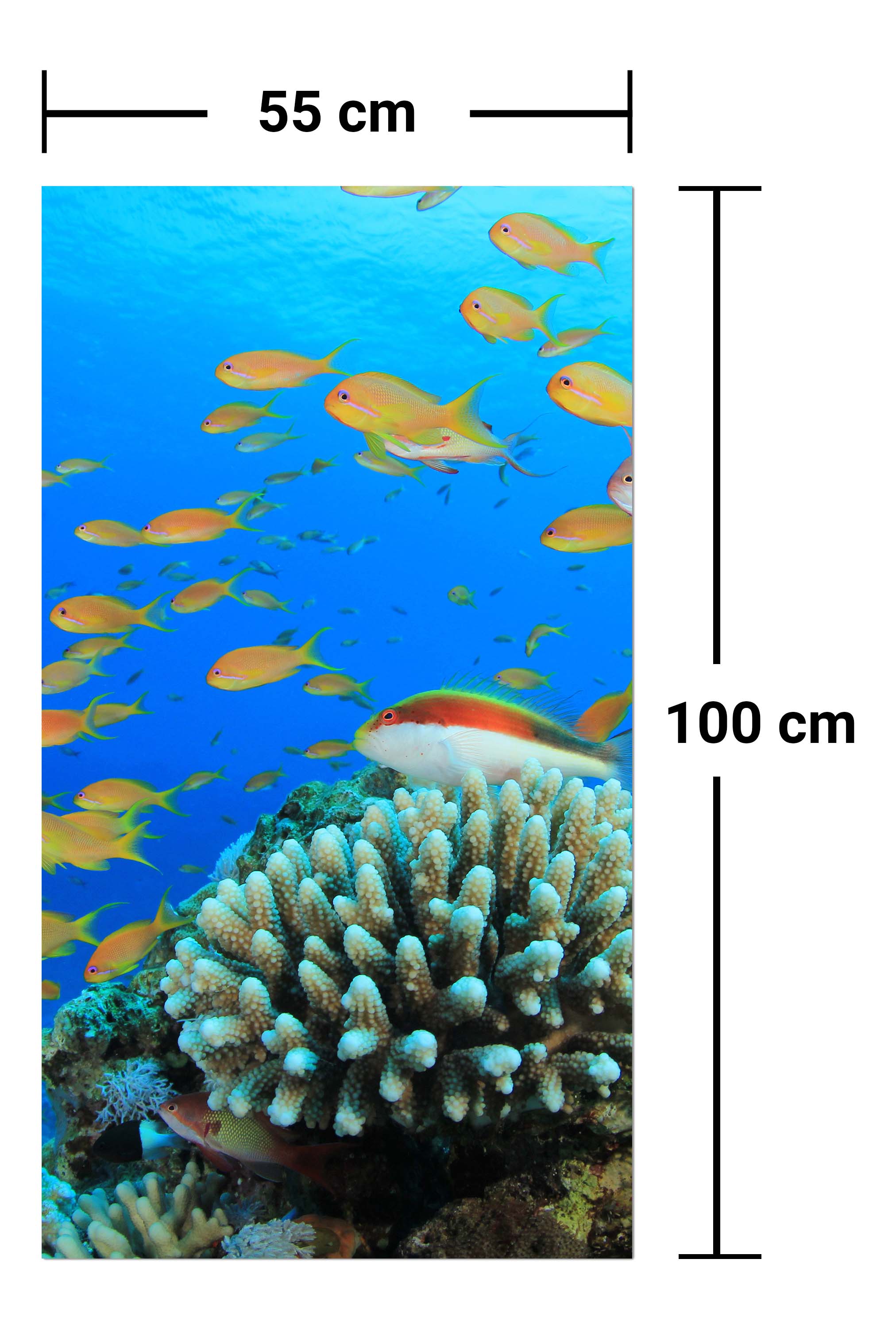 Garderobe Riffleben Unterwasser M0196 entdecken - Bild 7 Garderobe Riffleben Unterwasser M0196 entdecken - Bild 7