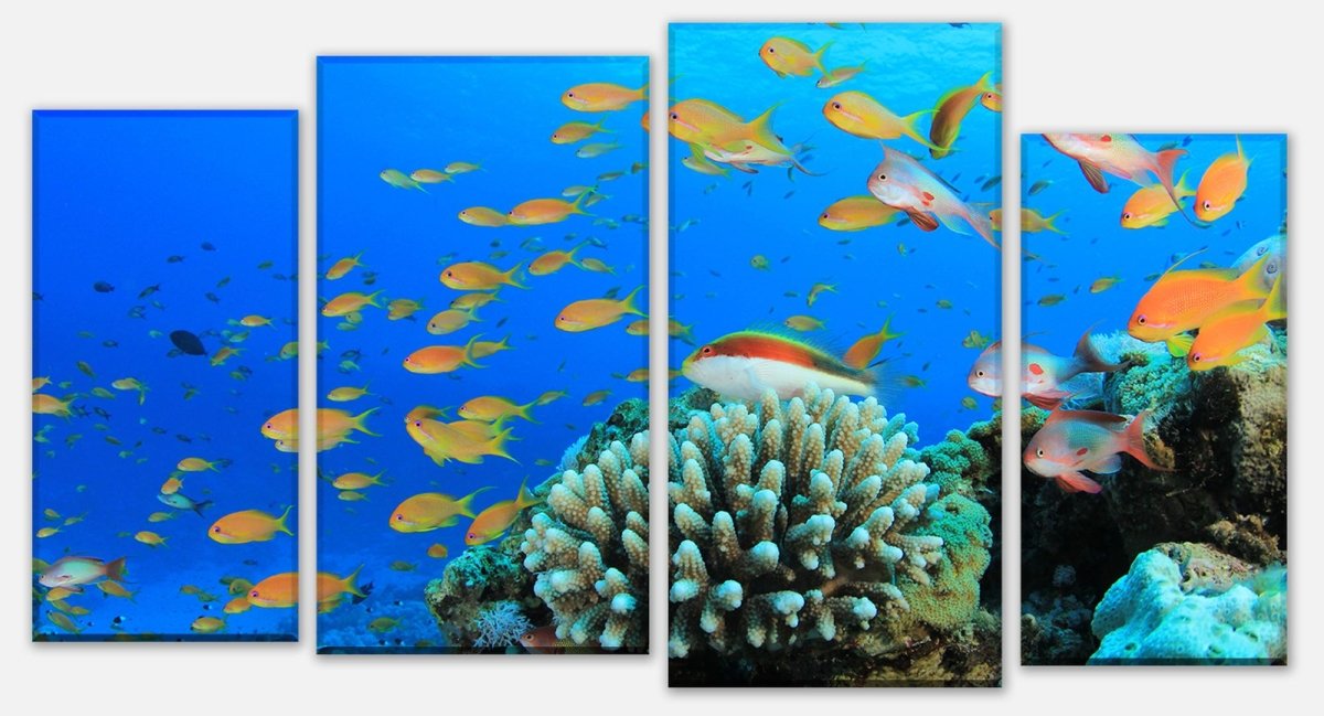 Leinwandbild Mehrteiler Riffleben Unterwasser M0196 Leinwandbild Mehrteiler Riffleben Unterwasser M0196