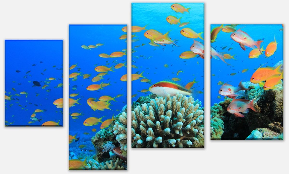 Leinwandbild Mehrteiler Riffleben Unterwasser M0196 Leinwandbild Mehrteiler Riffleben Unterwasser M0196