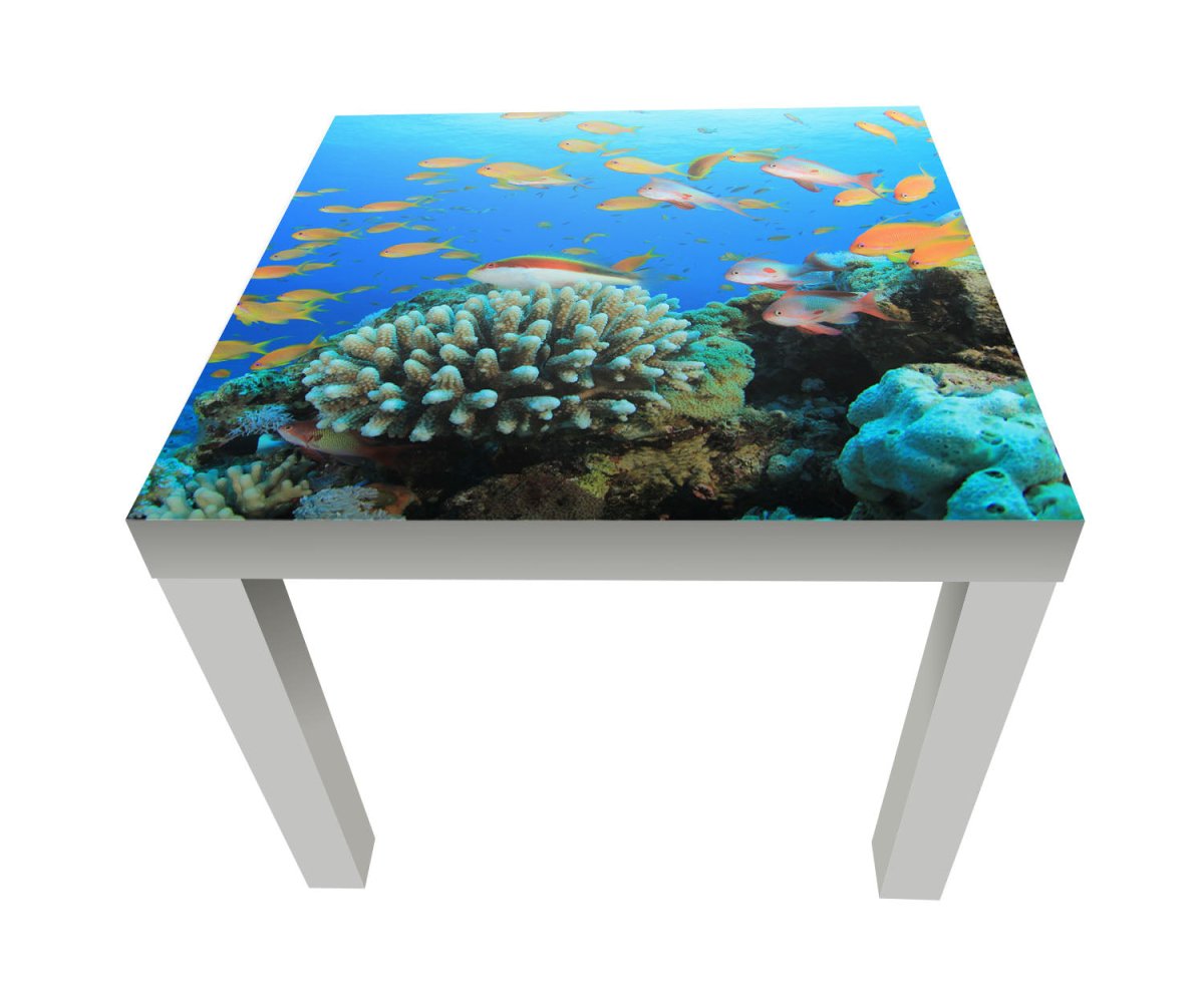 Beistelltisch Riffleben Unterwasser M0196 entdecken - Bild 1 Beistelltisch Riffleben Unterwasser M0196 entdecken - Bild 1