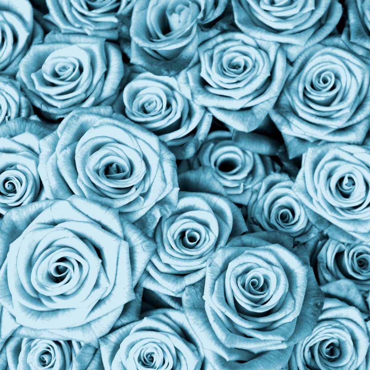 Beistelltisch Blaues Rosenfeld Blüte M0228 entdecken - Bild 2 Beistelltisch Blaues Rosenfeld Blüte M0228 entdecken - Bild 2