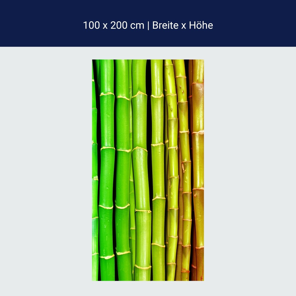 Duschwand bunter Bambus Asien M0229 Duschwand bunter Bambus Asien M0229