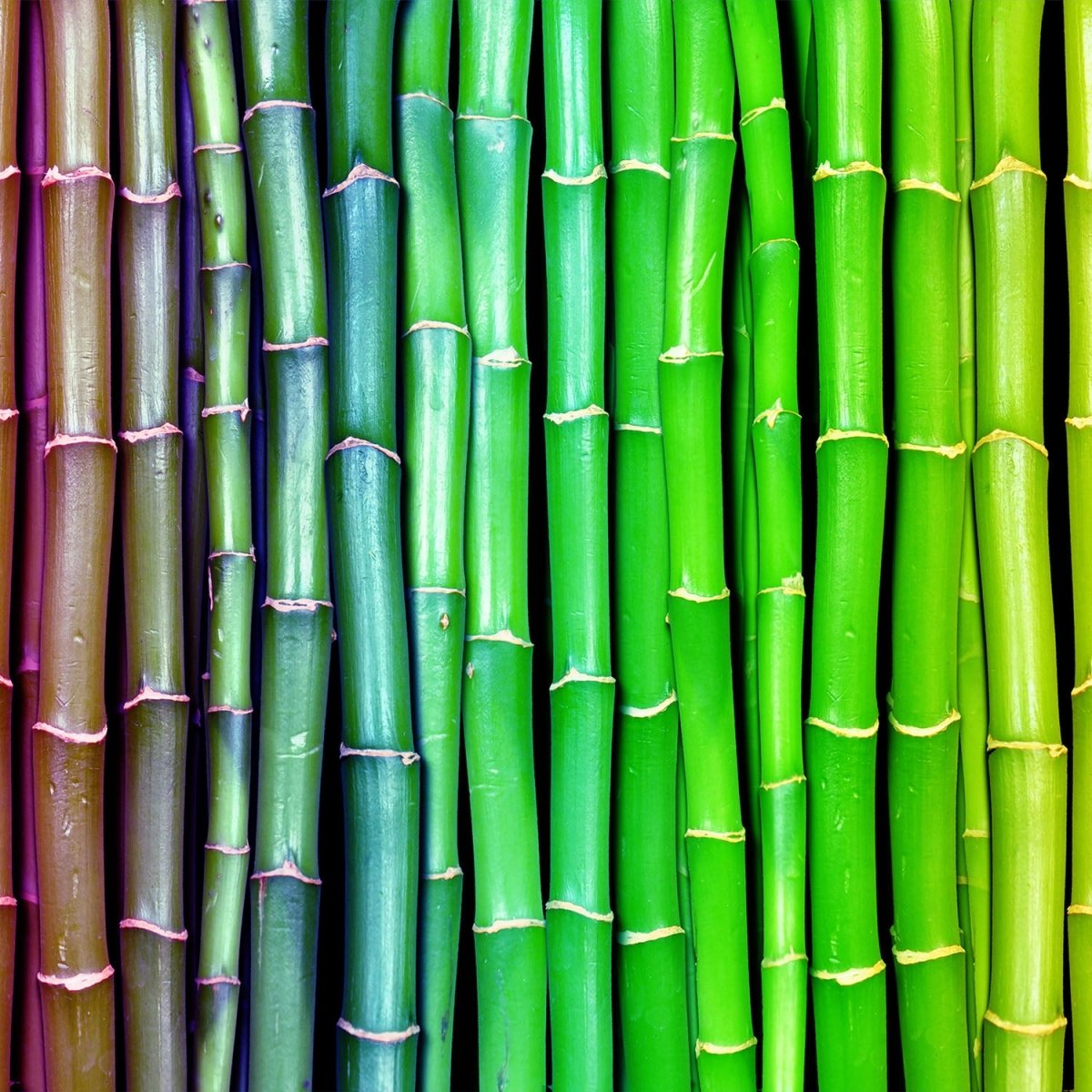 Beistelltisch bunter Bambus Asien M0229 entdecken - Bild 2 Beistelltisch bunter Bambus Asien M0229 entdecken - Bild 2