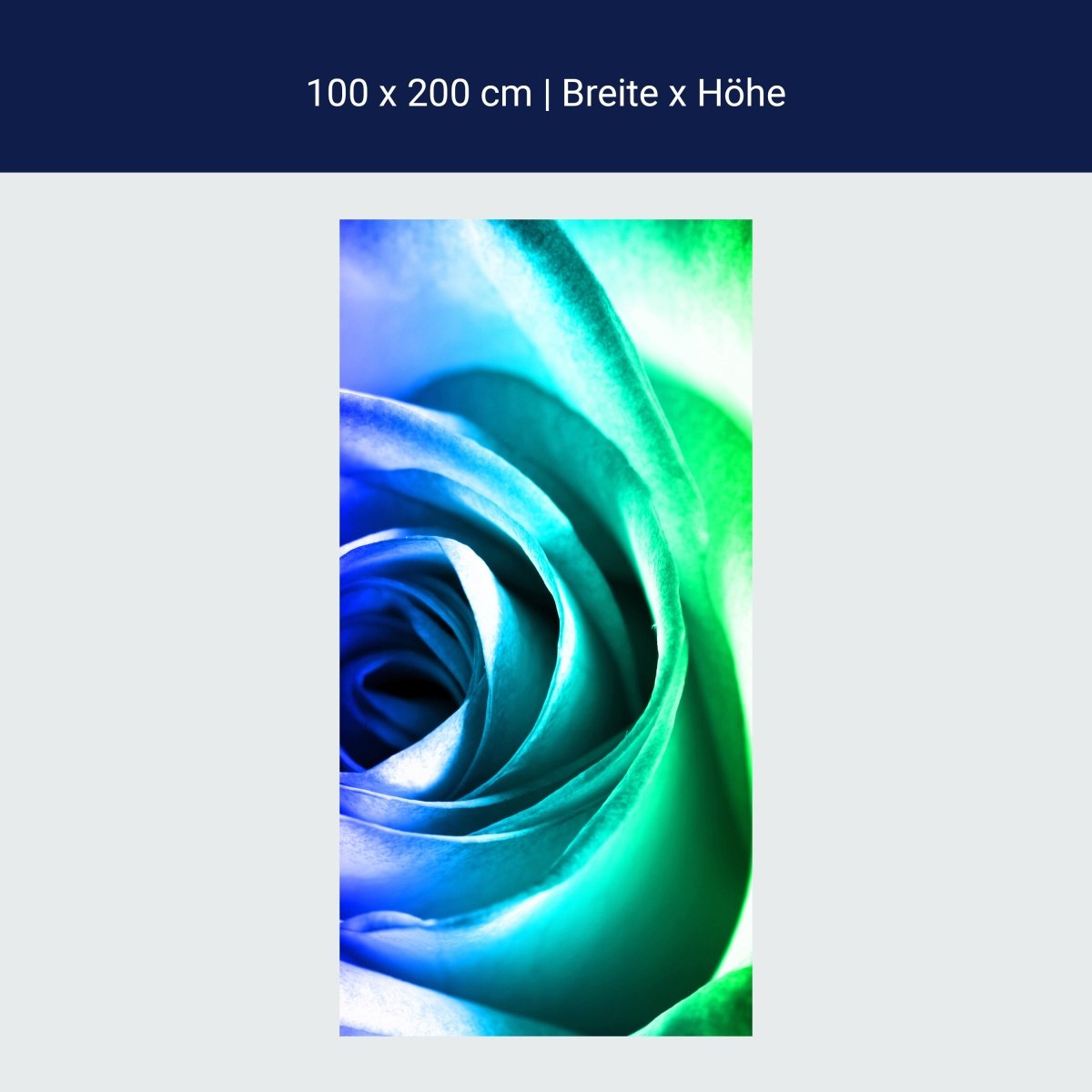 Duschwand Regenbogenrose Blüte M0230 Duschwand Regenbogenrose Blüte M0230