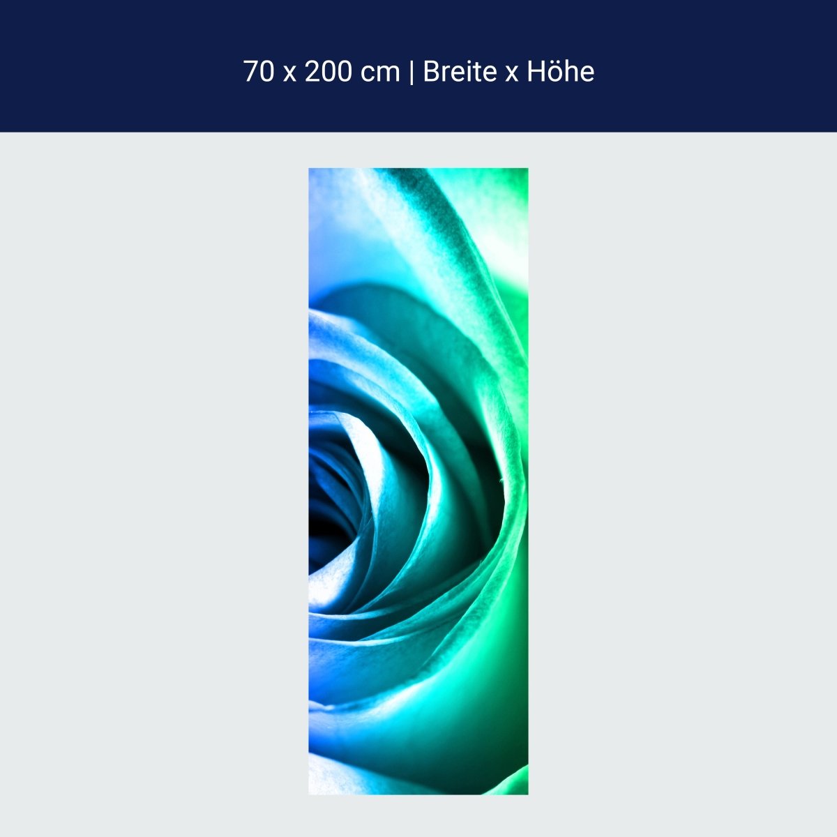 Duschwand Regenbogenrose Blüte M0230 Duschwand Regenbogenrose Blüte M0230