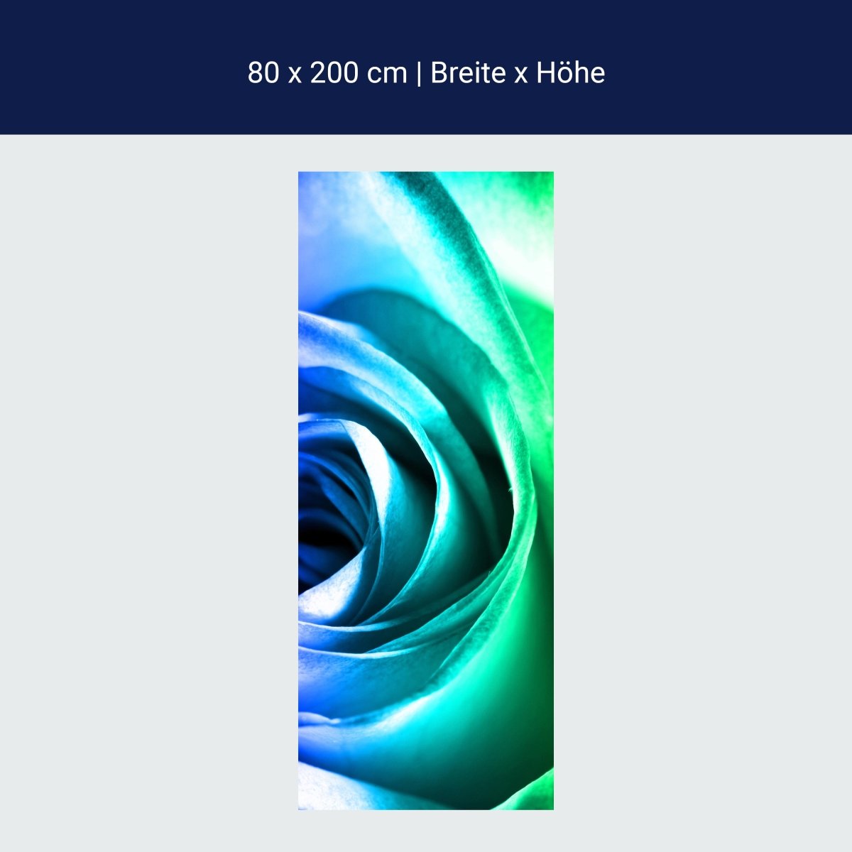 Duschwand Regenbogenrose Blüte M0230 Duschwand Regenbogenrose Blüte M0230