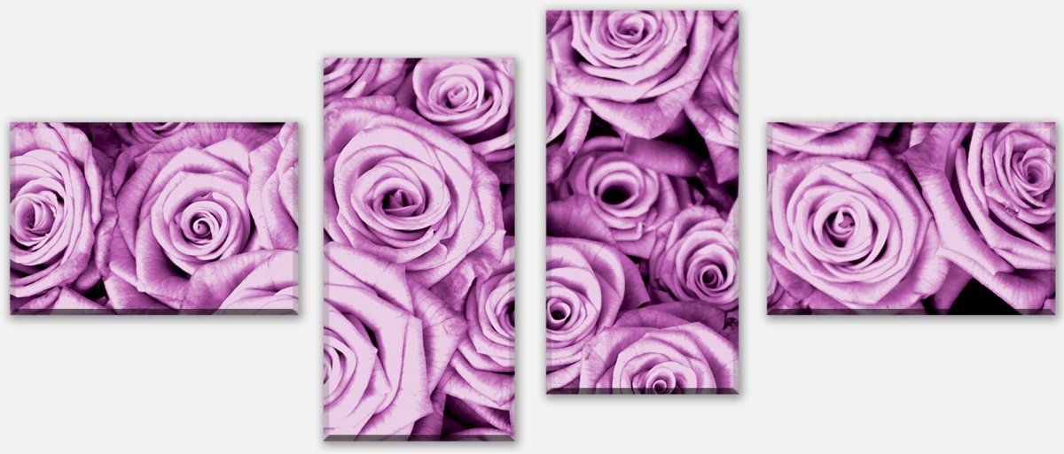 Leinwandbild Mehrteiler violettes Rosenfeld Blüte M0232 Leinwandbild Mehrteiler violettes Rosenfeld Blüte M0232