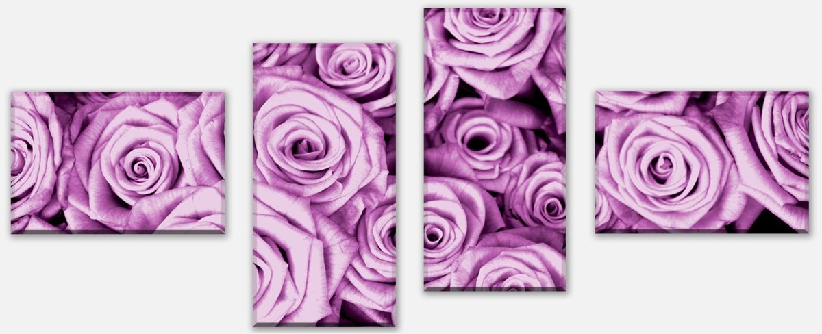 Leinwandbild Mehrteiler violettes Rosenfeld Blüte M0232 Leinwandbild Mehrteiler violettes Rosenfeld Blüte M0232