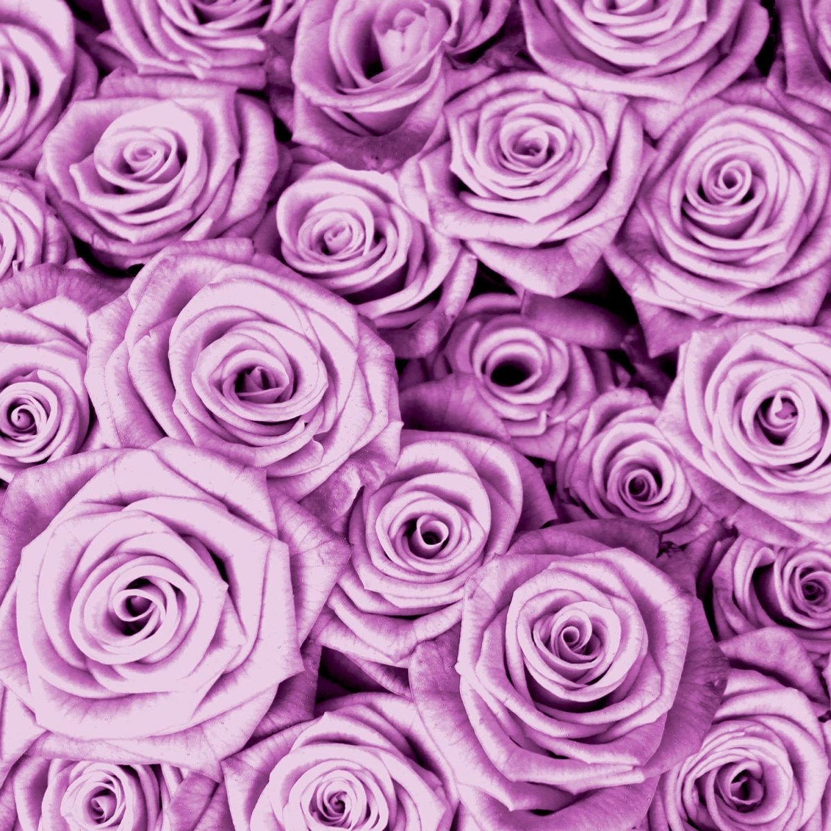 Beistelltisch violettes Rosenfeld Blüte M0232 entdecken - Bild 2 Beistelltisch violettes Rosenfeld Blüte M0232 entdecken - Bild 2