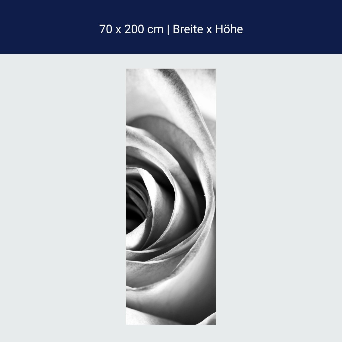 Duschwand weiße Rose Blüte M0233 Duschwand weiße Rose Blüte M0233