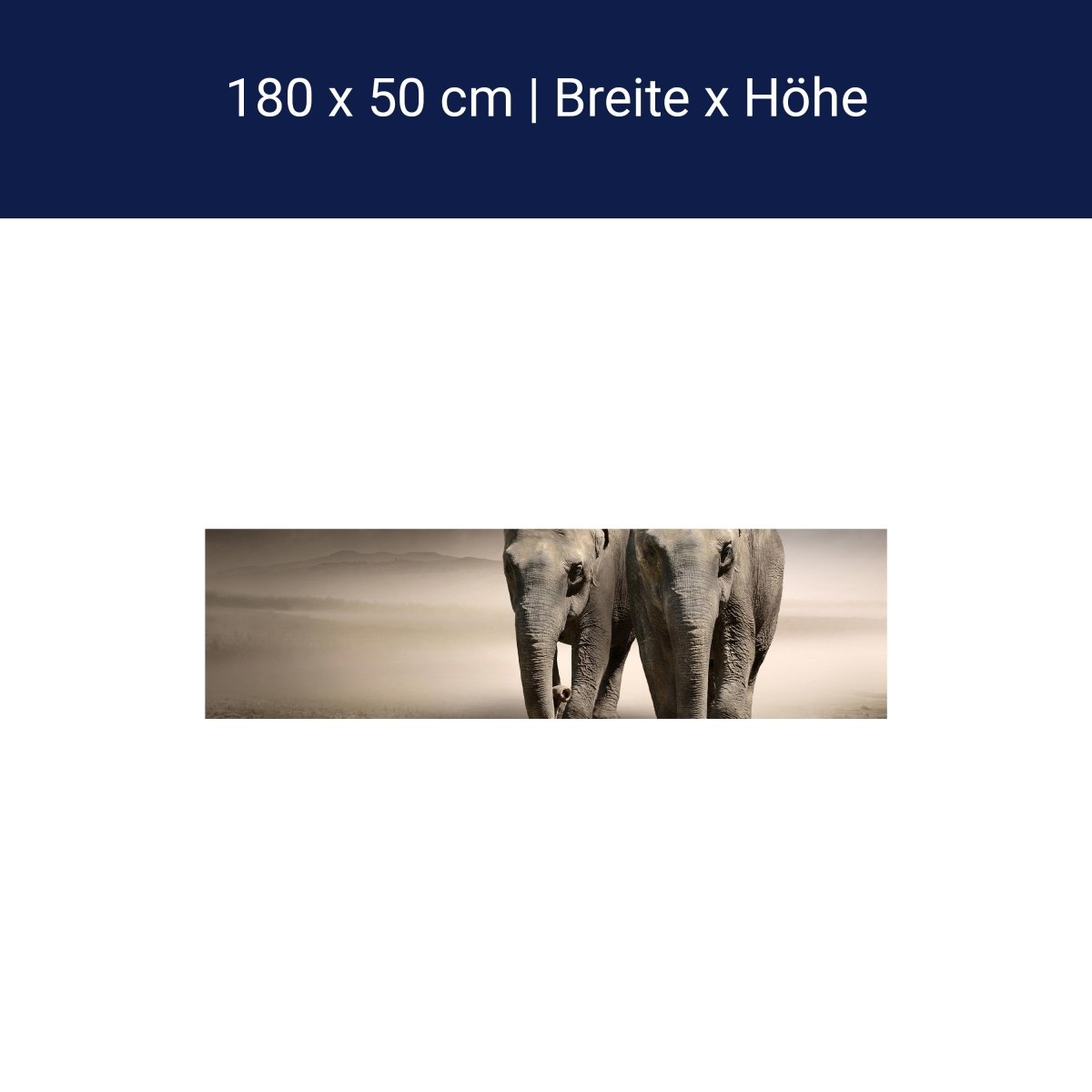 Küchenrückwand Elefantentraum Afrika M0244 Küchenrückwand Elefantentraum Afrika M0244