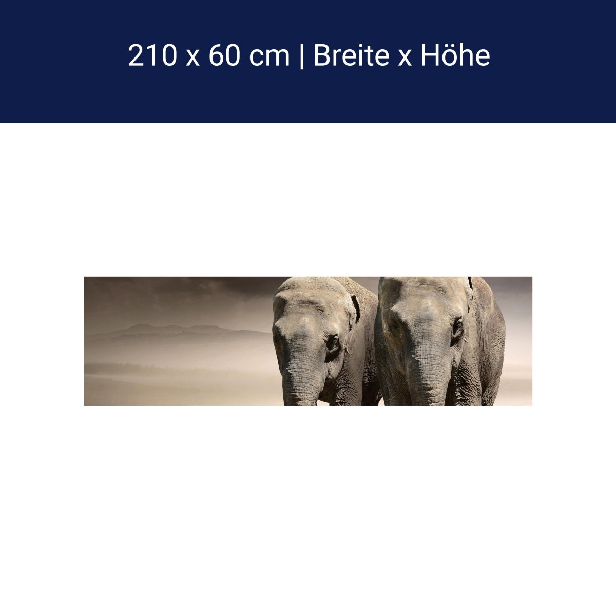 Küchenrückwand Elefantentraum Afrika M0244 Küchenrückwand Elefantentraum Afrika M0244