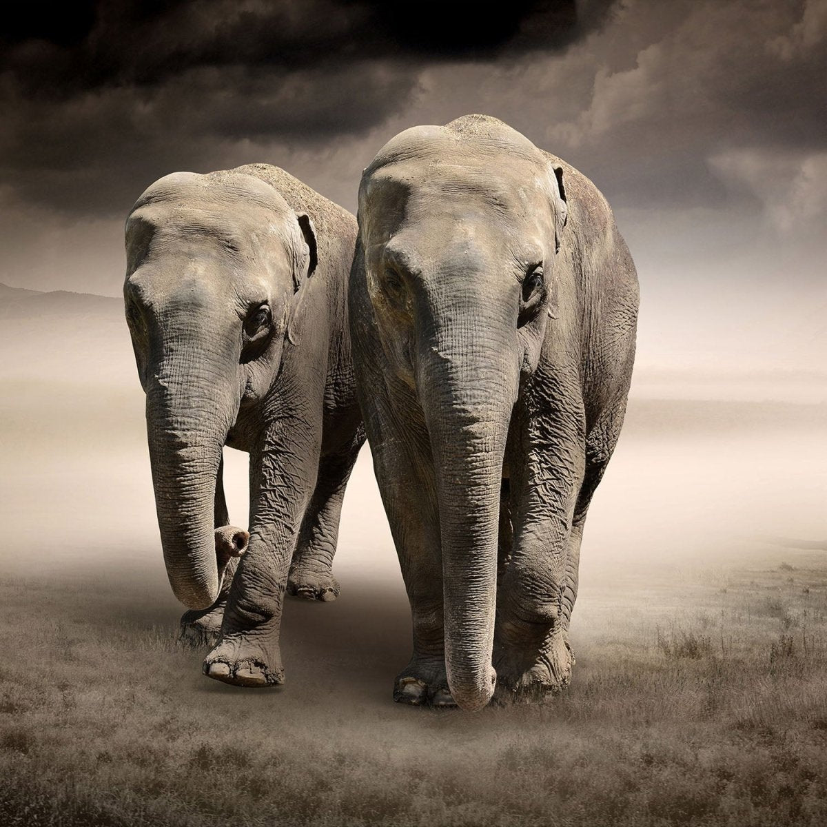 Beistelltisch Elefantentraum Afrika M0244 entdecken - Bild 2 Beistelltisch Elefantentraum Afrika M0244 entdecken - Bild 2