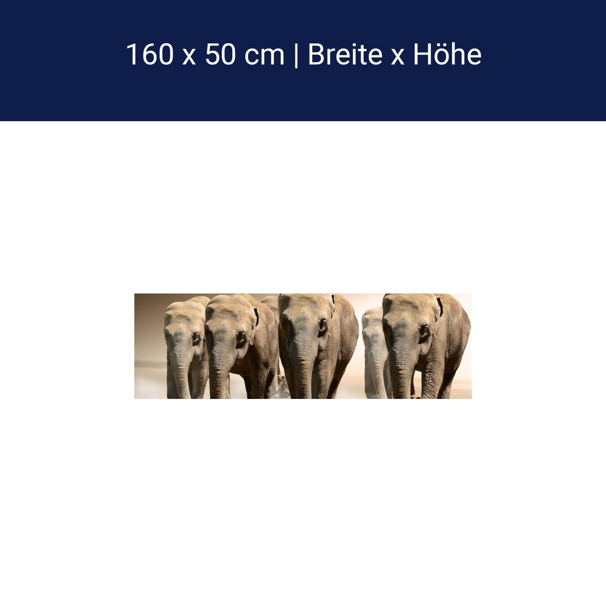 Küchenrückwand Elefantengruppe Afrika M0245 Küchenrückwand Elefantengruppe Afrika M0245