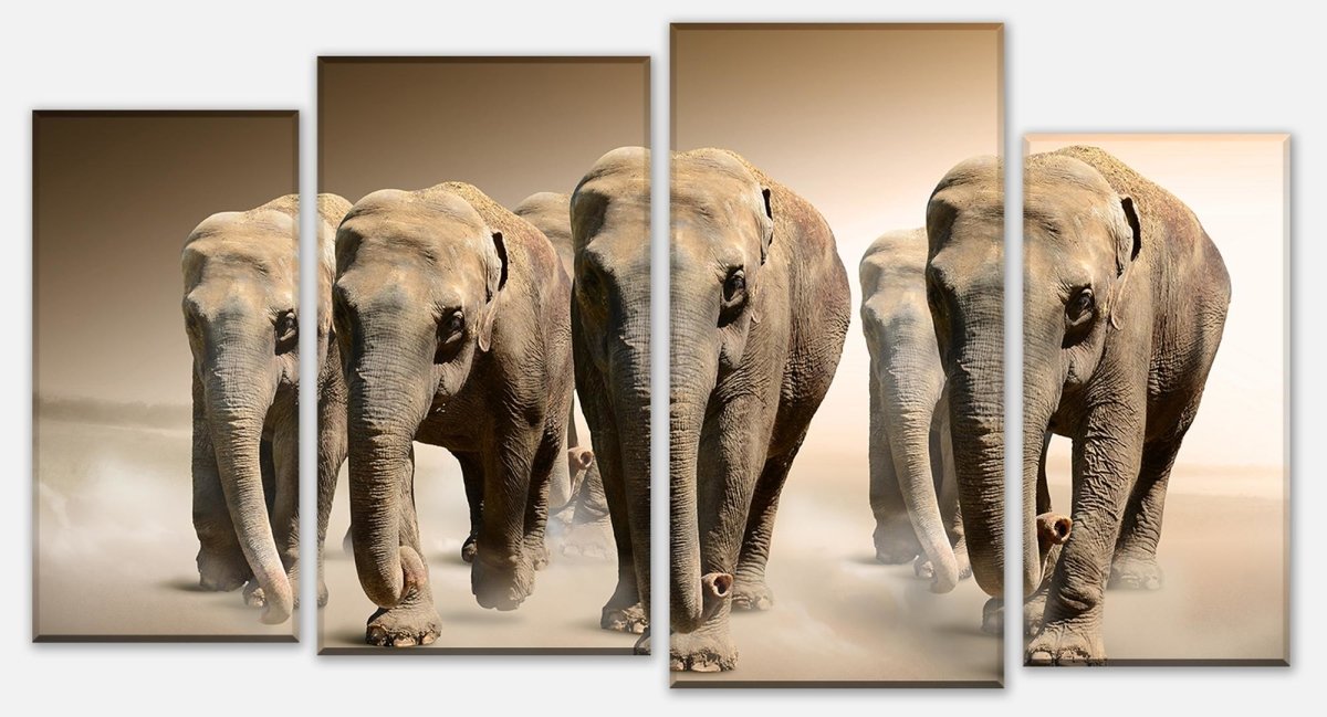 Leinwandbild Mehrteiler Elefantengruppe Afrika M0245 Leinwandbild Mehrteiler Elefantengruppe Afrika M0245