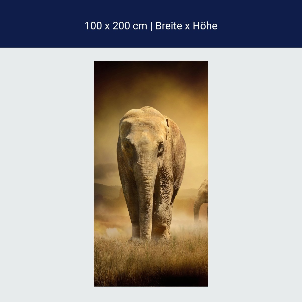 Duschwand Steppenelefant Afrika M0246 Duschwand Steppenelefant Afrika M0246