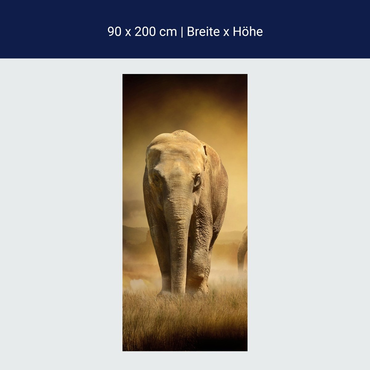 Duschwand Steppenelefant Afrika M0246 Duschwand Steppenelefant Afrika M0246