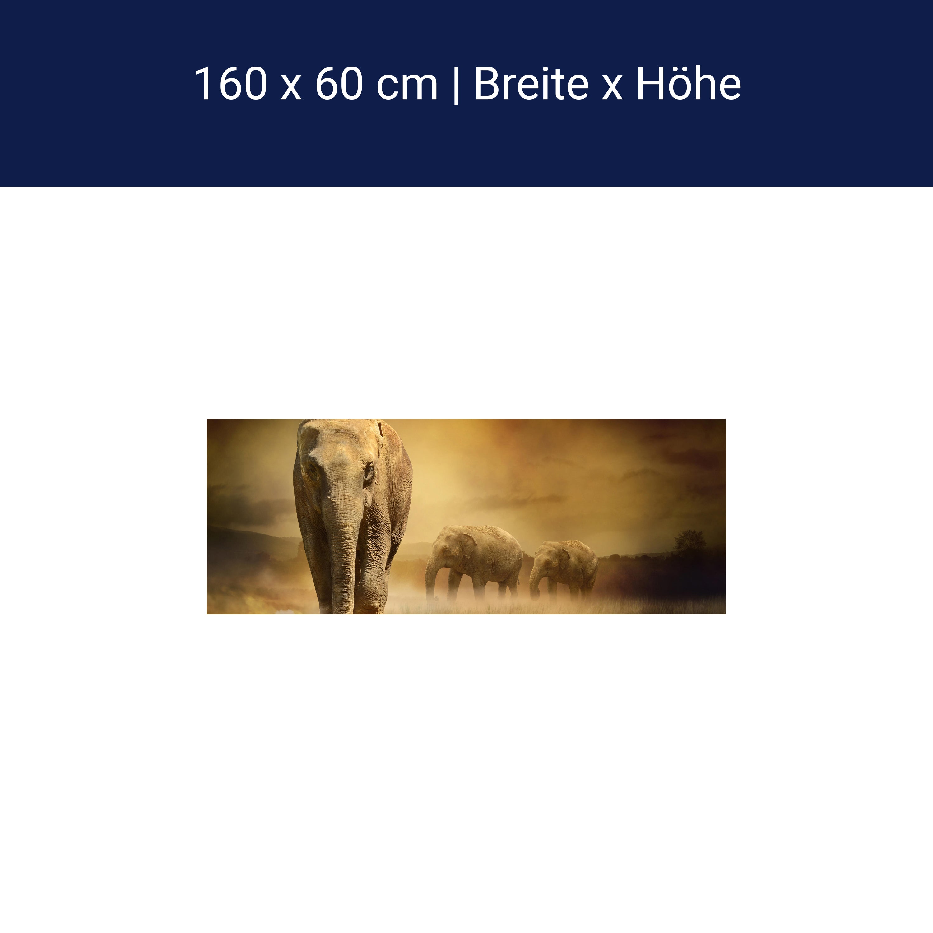 Küchenrückwand Steppenelefant Afrika M0246 Küchenrückwand Steppenelefant Afrika M0246