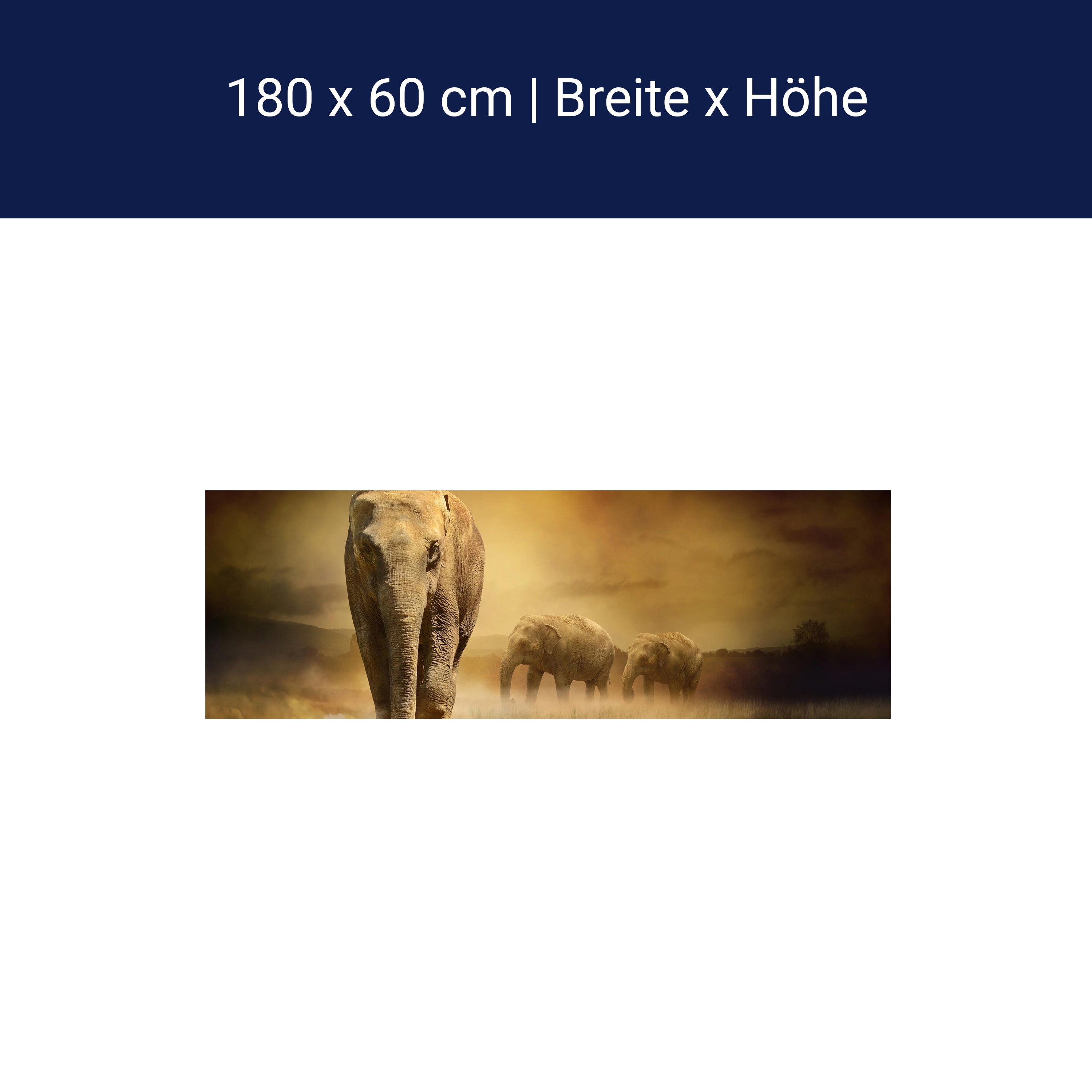 Küchenrückwand Steppenelefant Afrika M0246 Küchenrückwand Steppenelefant Afrika M0246