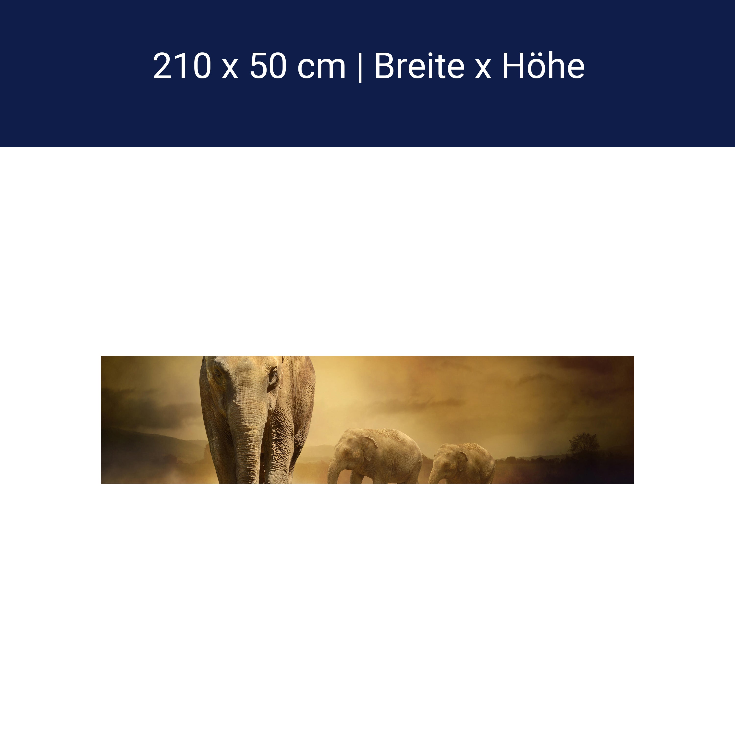 Küchenrückwand Steppenelefant Afrika M0246 Küchenrückwand Steppenelefant Afrika M0246