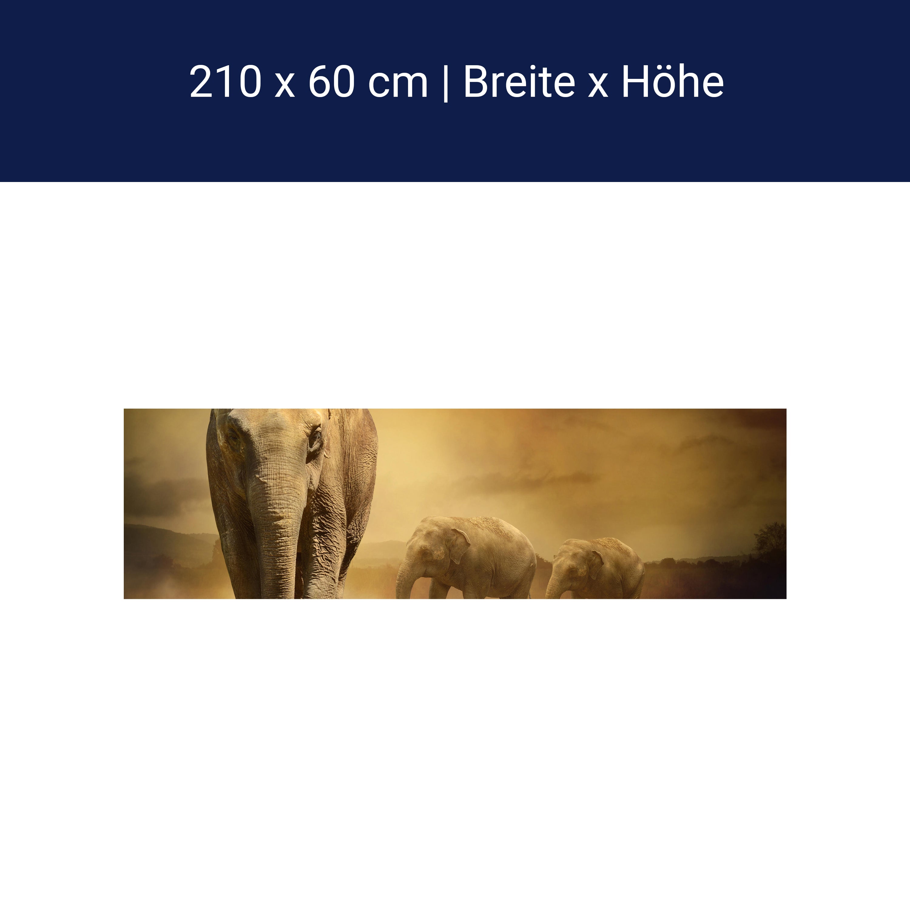 Küchenrückwand Steppenelefant Afrika M0246 Küchenrückwand Steppenelefant Afrika M0246