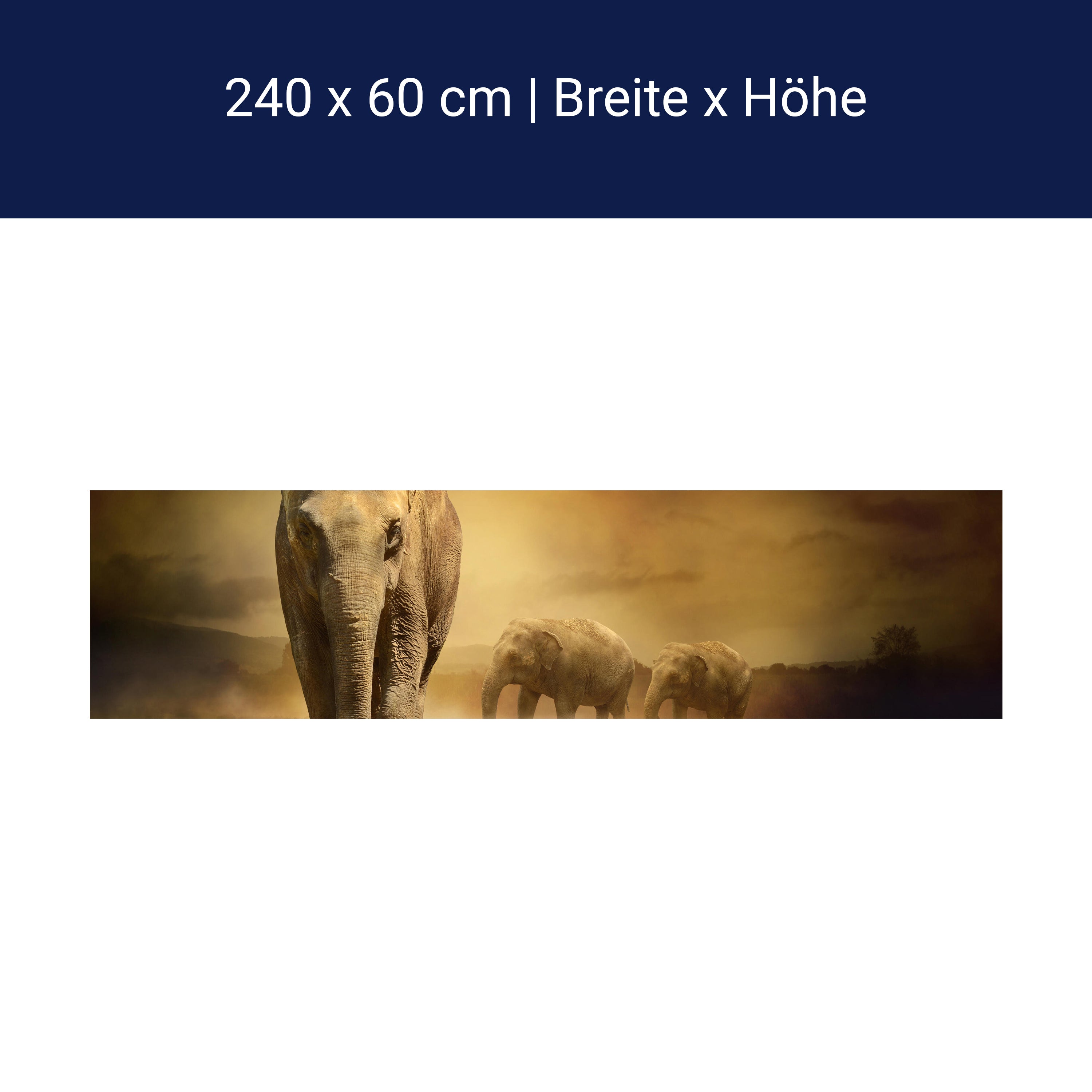 Küchenrückwand Steppenelefant Afrika M0246 Küchenrückwand Steppenelefant Afrika M0246