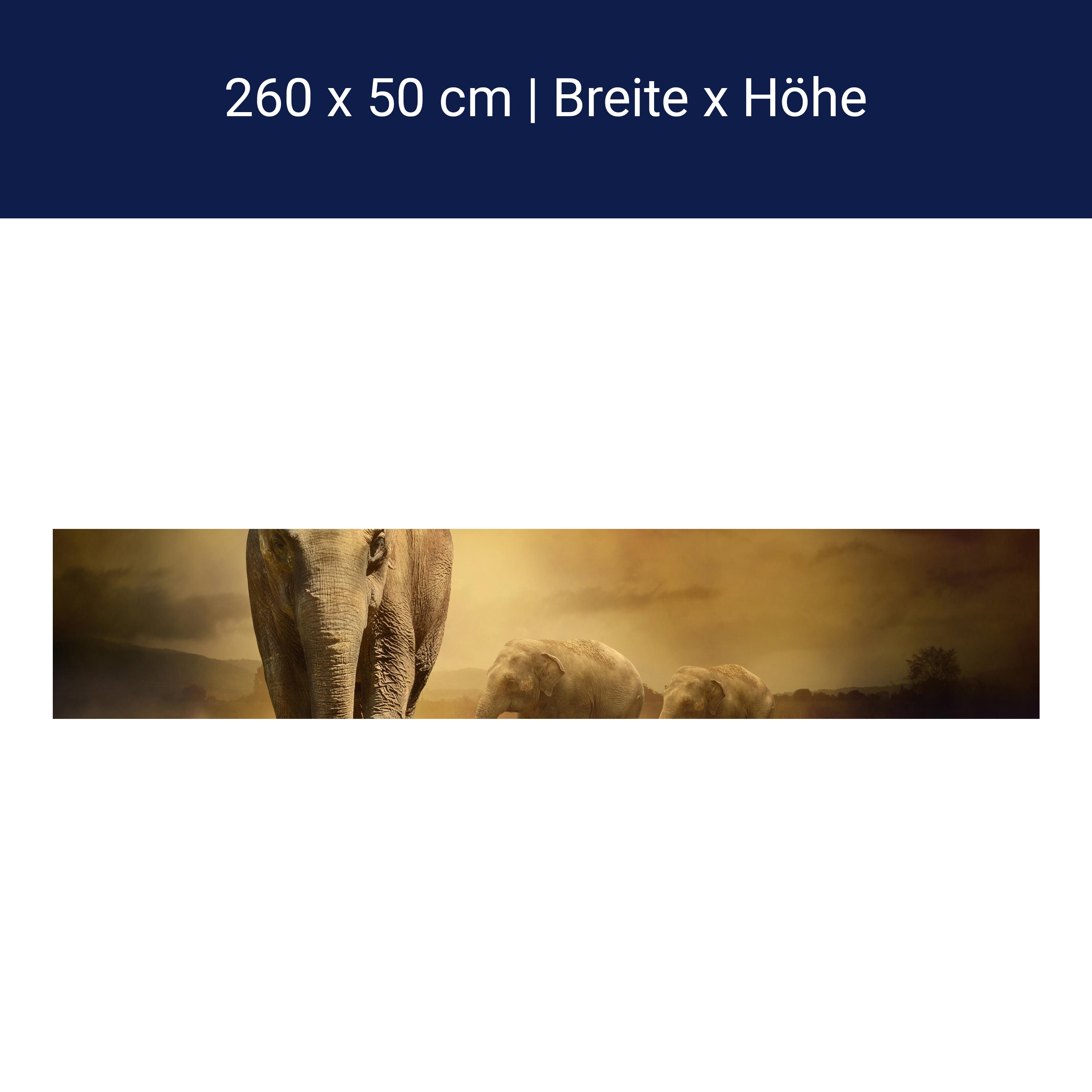 Küchenrückwand Steppenelefant Afrika M0246 Küchenrückwand Steppenelefant Afrika M0246