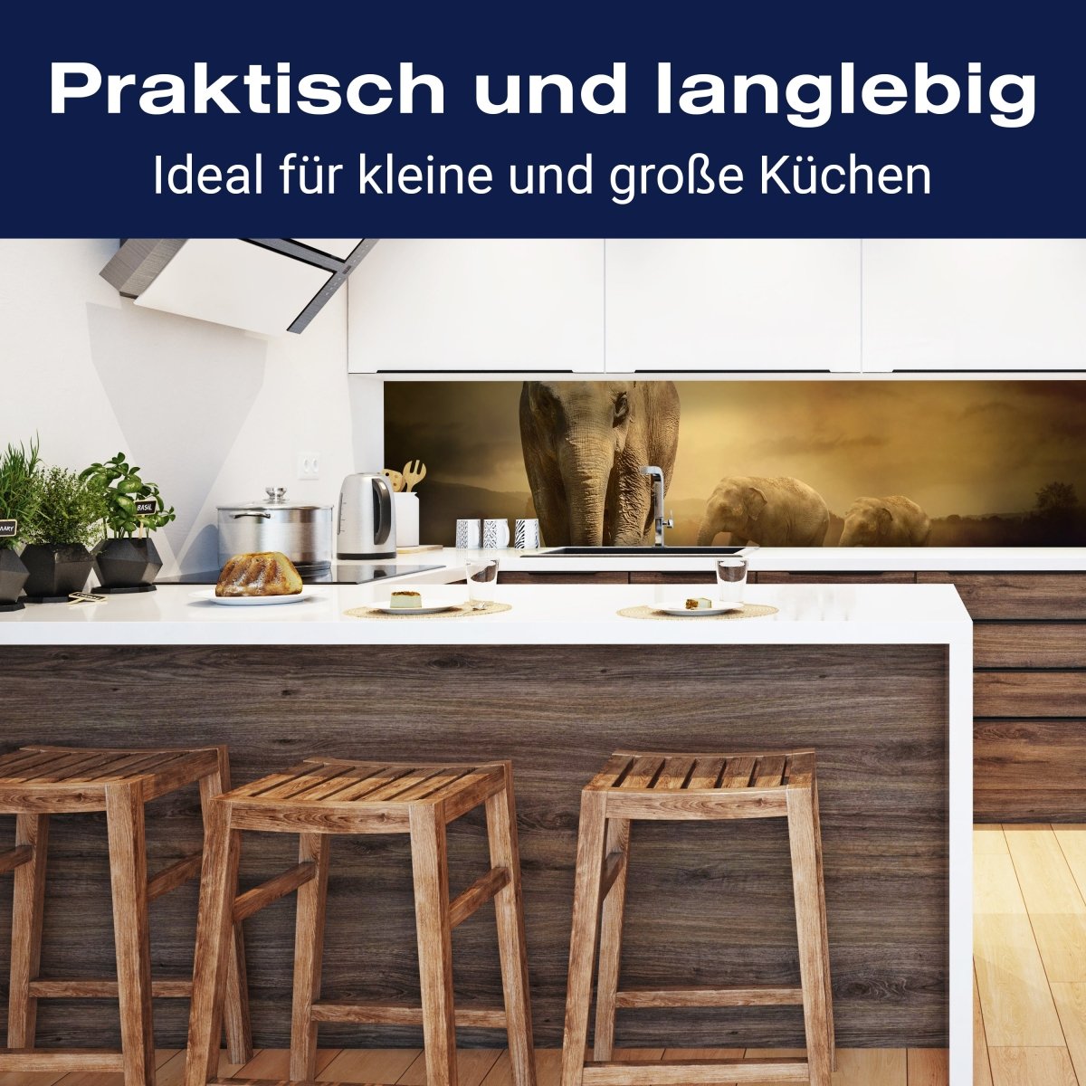 Küchenrückwand Steppenelefant Afrika M0246 entdecken - Bild 3 Küchenrückwand Steppenelefant Afrika M0246 entdecken - Bild 3