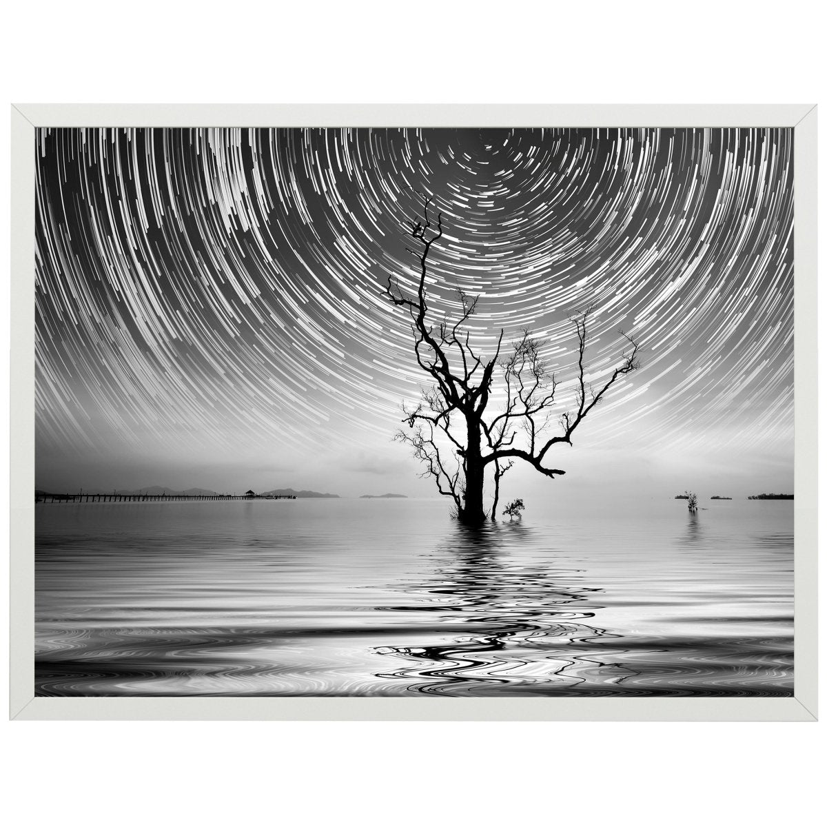 wandmotiv24 Poster, Poster - Baum, Wasser, See - M0276 - Bild 1 wandmotiv24 Poster, Poster - Baum, Wasser, See - M0276 - Bild 1