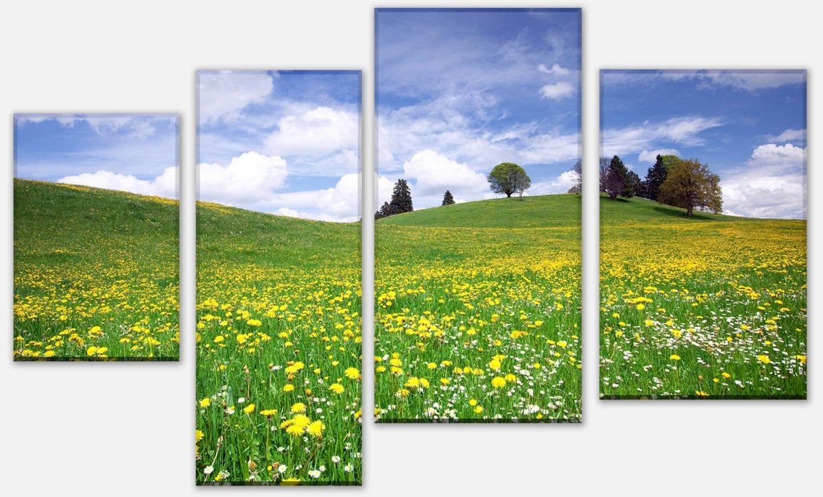 Leinwandbild Mehrteiler Sommerwiese M0335 Leinwandbild Mehrteiler Sommerwiese M0335