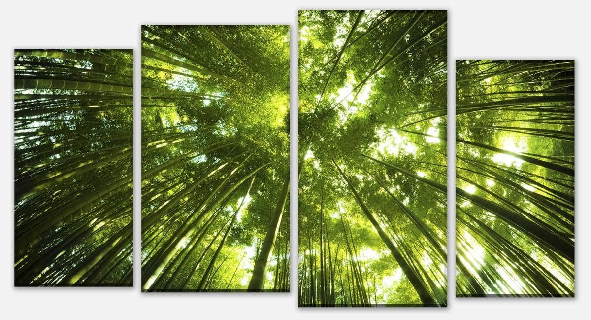 Leinwandbild Mehrteiler Bambus Wald M0338 Leinwandbild Mehrteiler Bambus Wald M0338