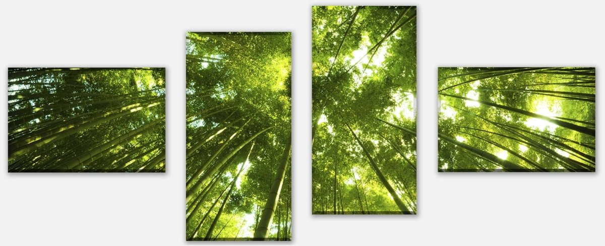 Leinwandbild Mehrteiler Bambus Wald M0338 Leinwandbild Mehrteiler Bambus Wald M0338