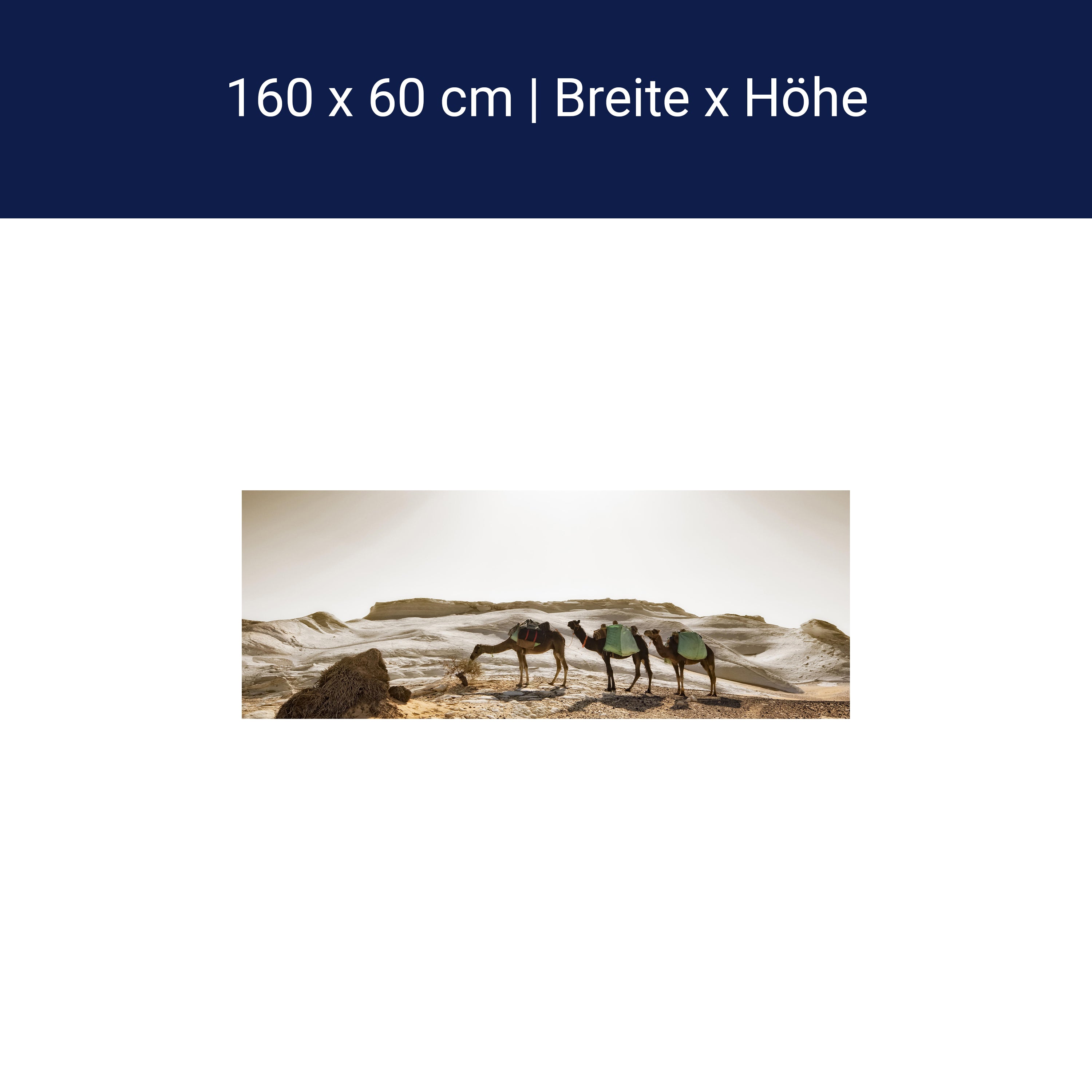 Küchenrückwand Karavane M0343 Küchenrückwand Karavane M0343